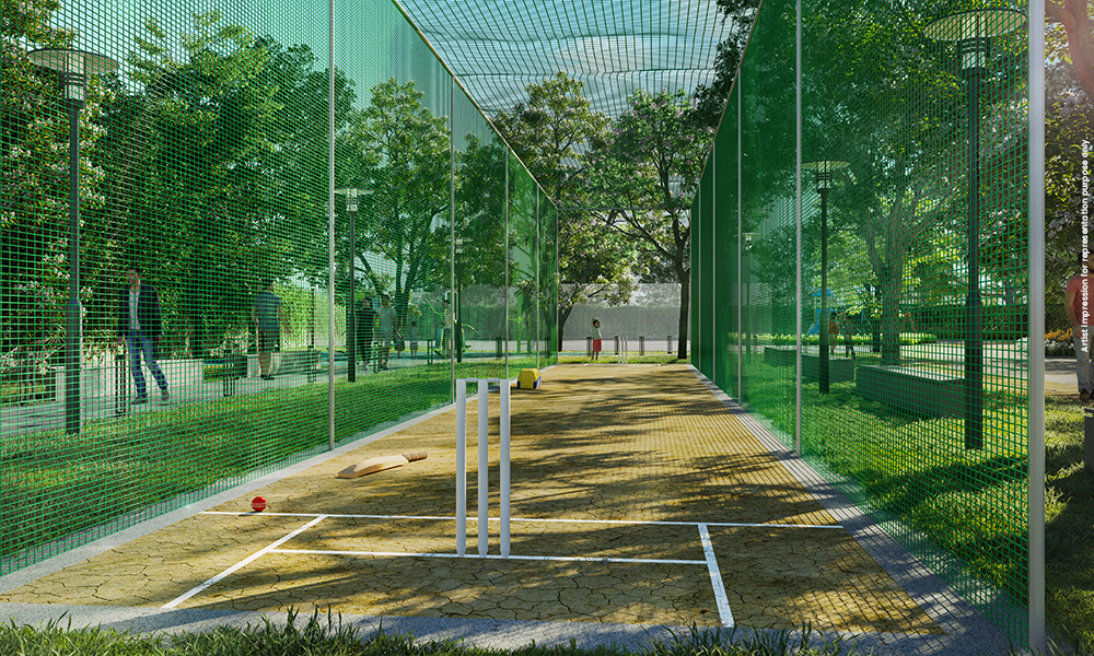 Cricket Net